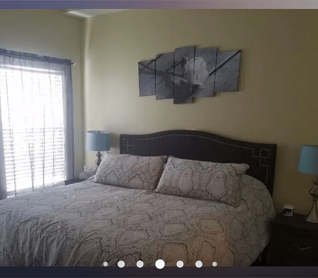 Furnished Finder property 289430_1 photo 8
