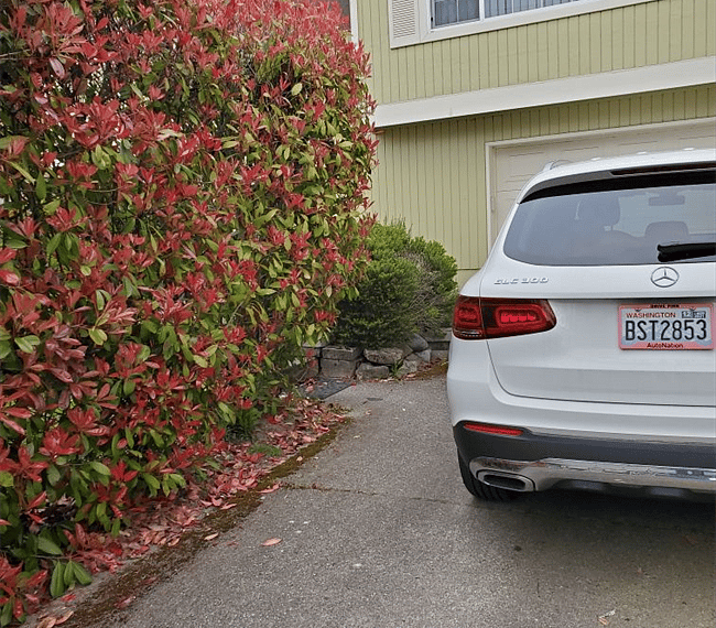 Driveway