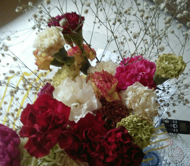 Beautiful flowers 