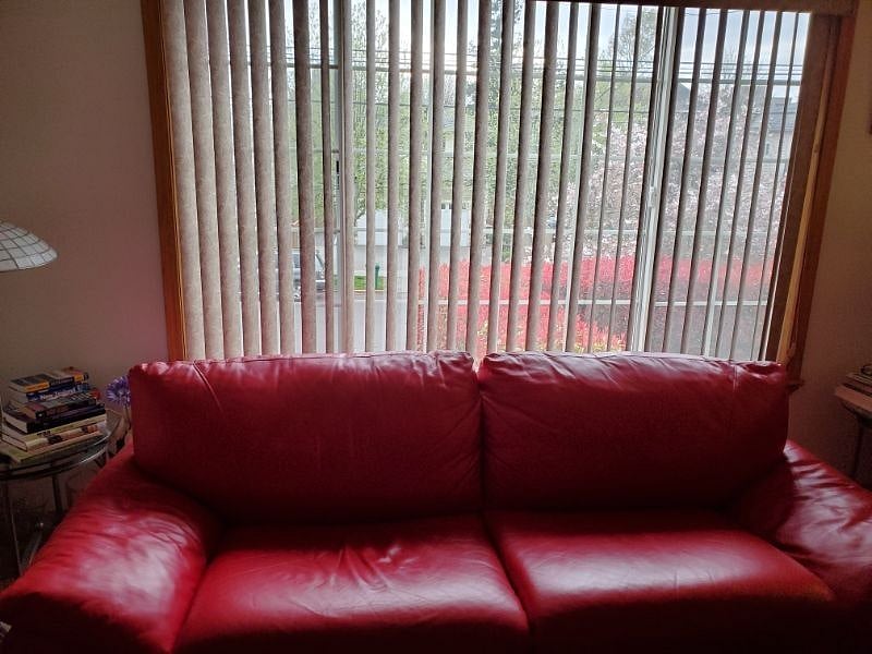 Furnished Finder property 289491_2 photo 8