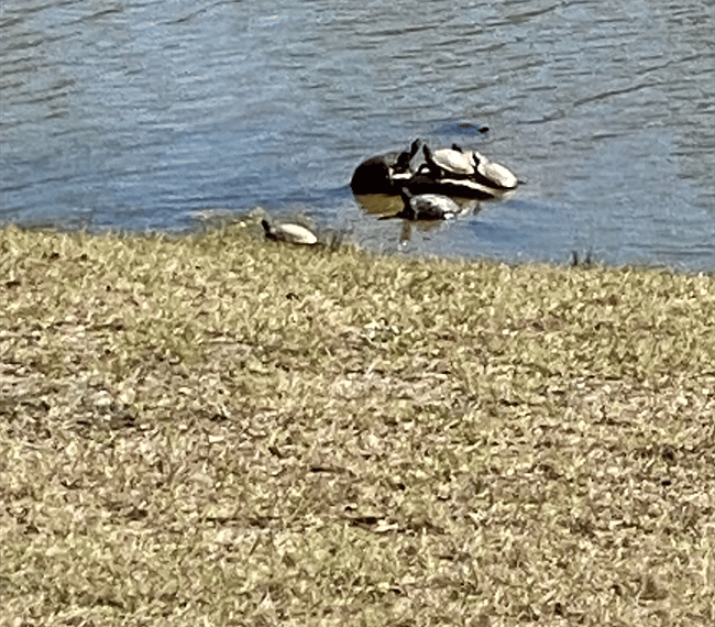 Nature at its finest.