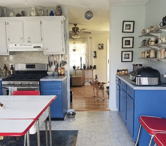 Dog not included