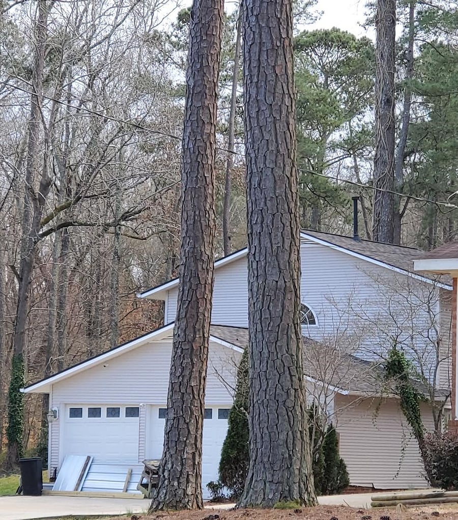 Entrance to The Lofty Guest House (TLGH), on the second floor, is at rear of the garage.