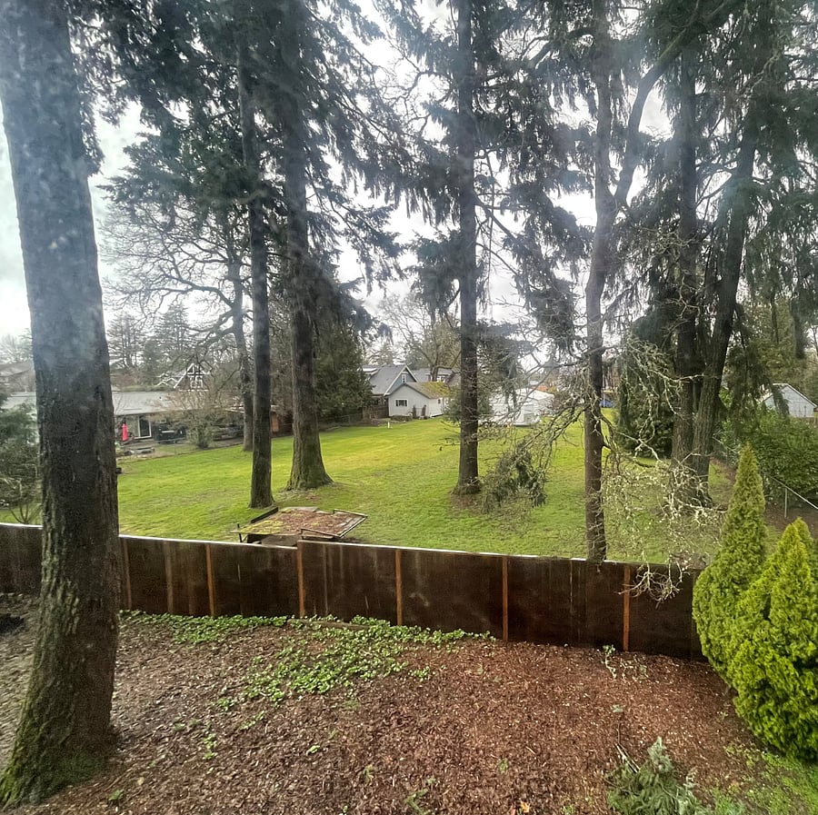 Furnished Finder property 290021_1 photo 7