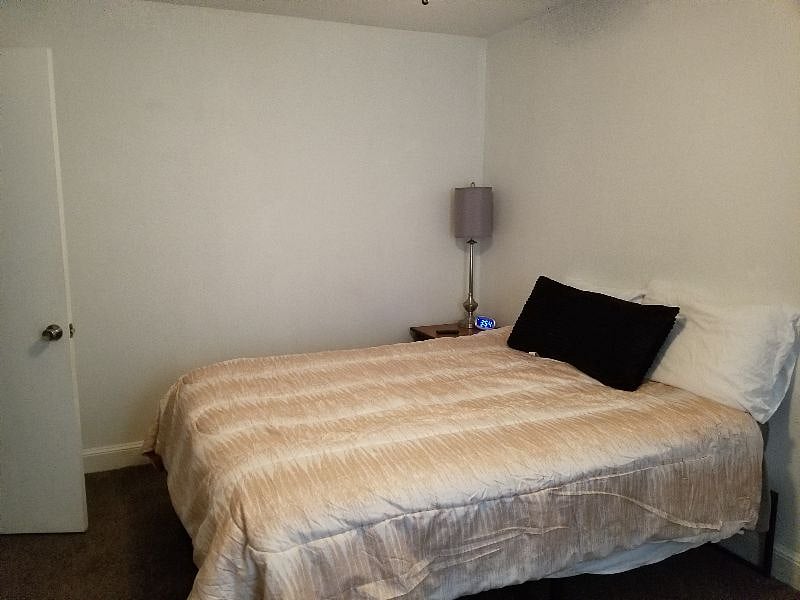 Furnished Finder property 290075_1 photo 14