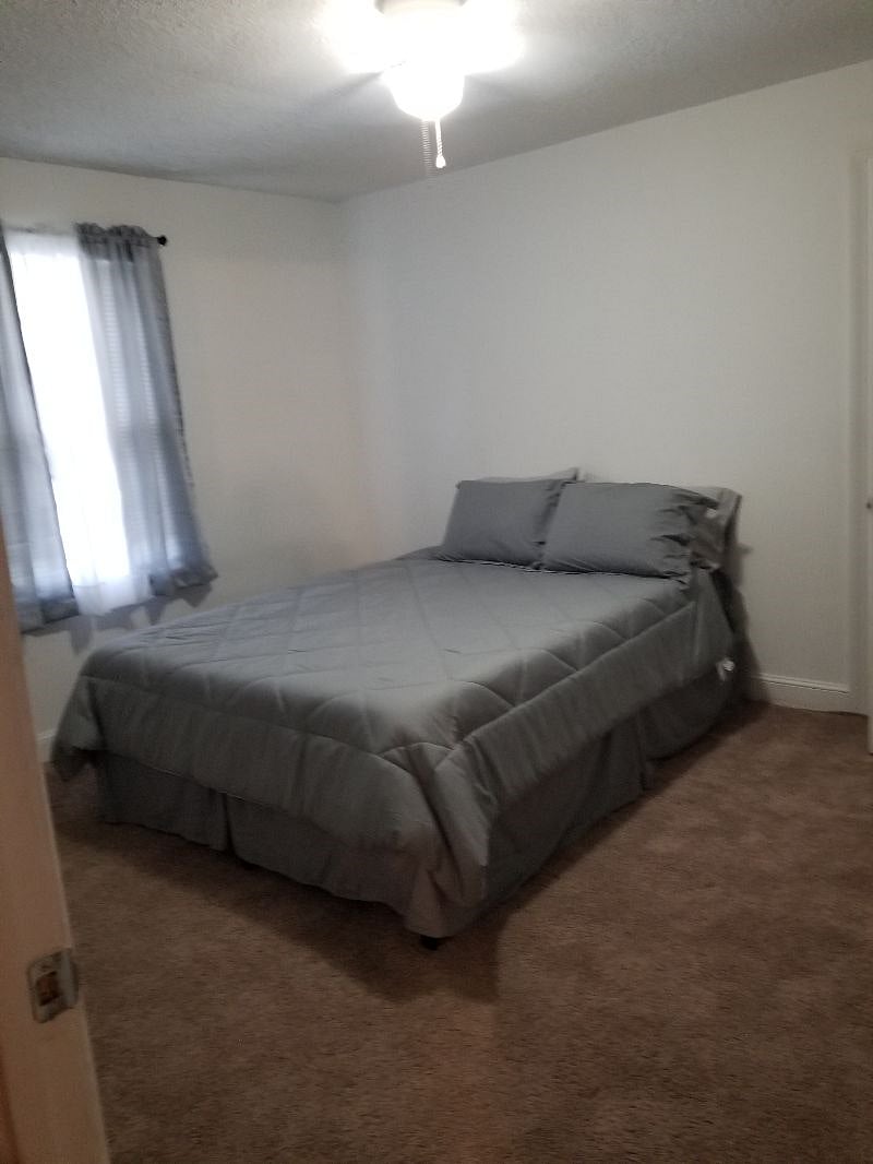 Furnished Finder property 290075_2 photo 11