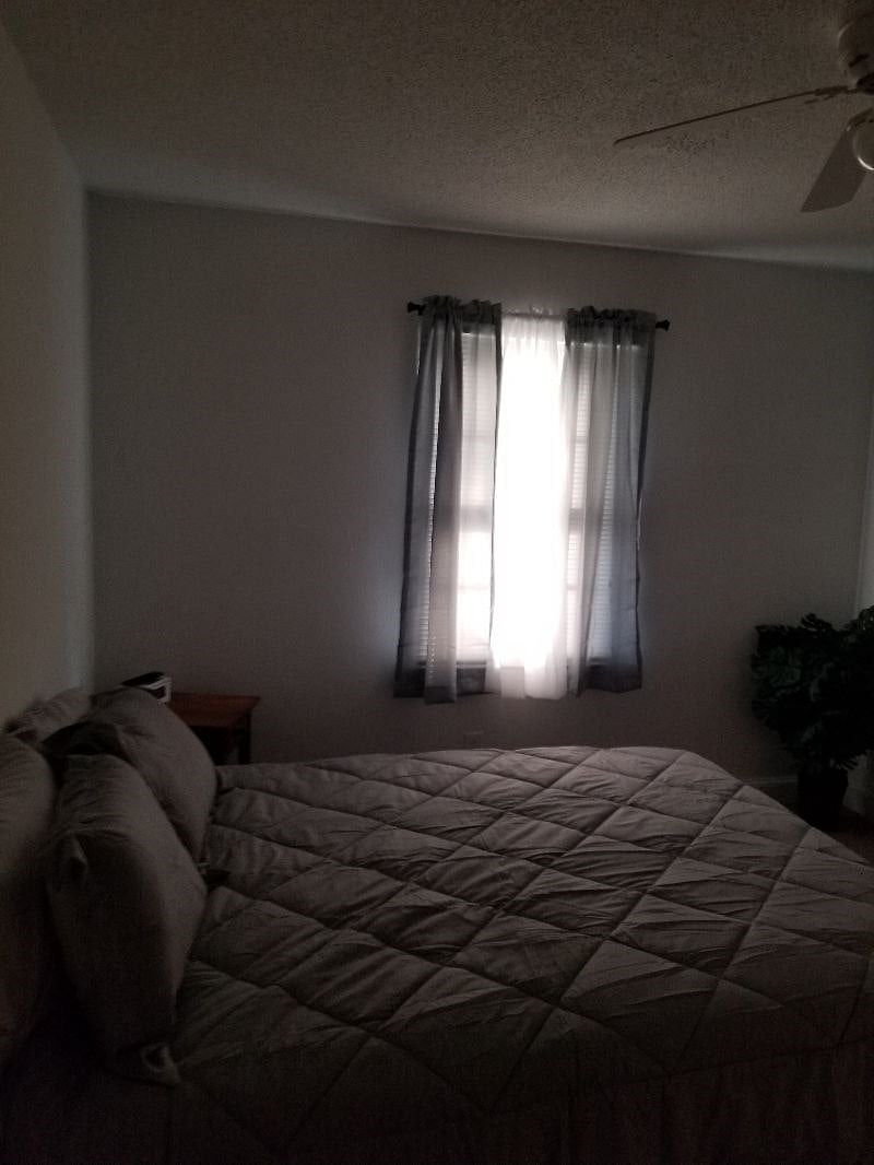 Furnished Finder property 290075_2 photo 13