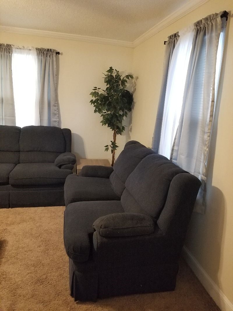Furnished Finder property 290075_2 photo 9