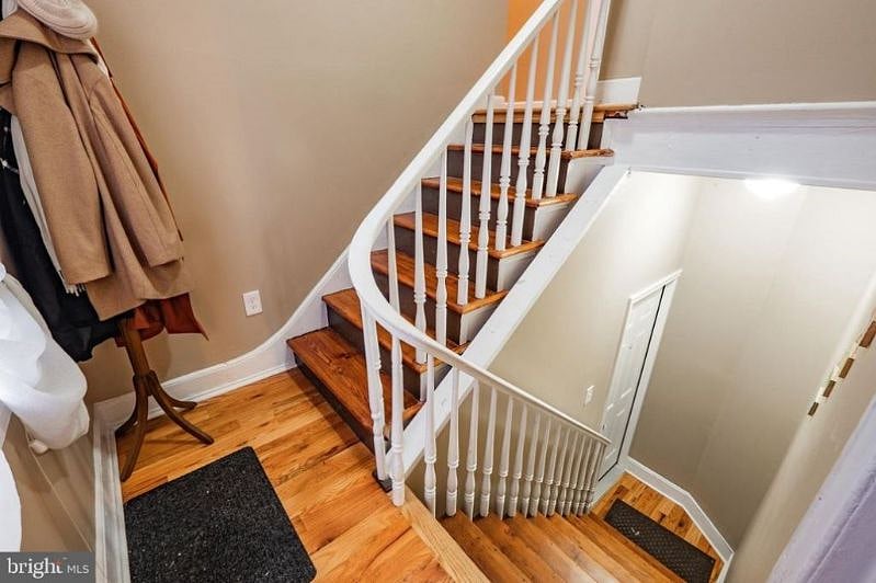 Furnished Finder property 290198_2 photo 3