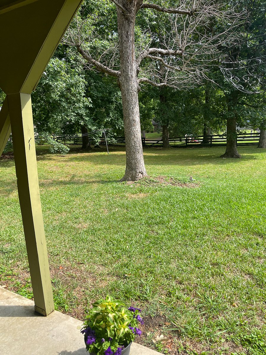 Furnished Finder property 290223_1 photo 4
