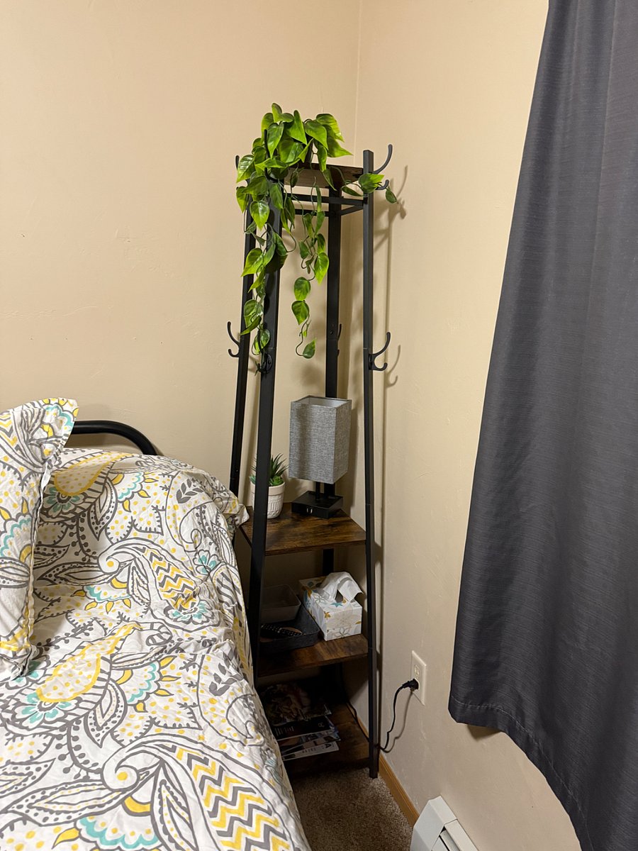 Furnished Finder property 290241_1 photo 11