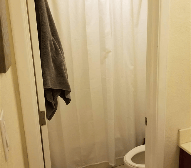 Furnished Finder property 290250_1 photo 8