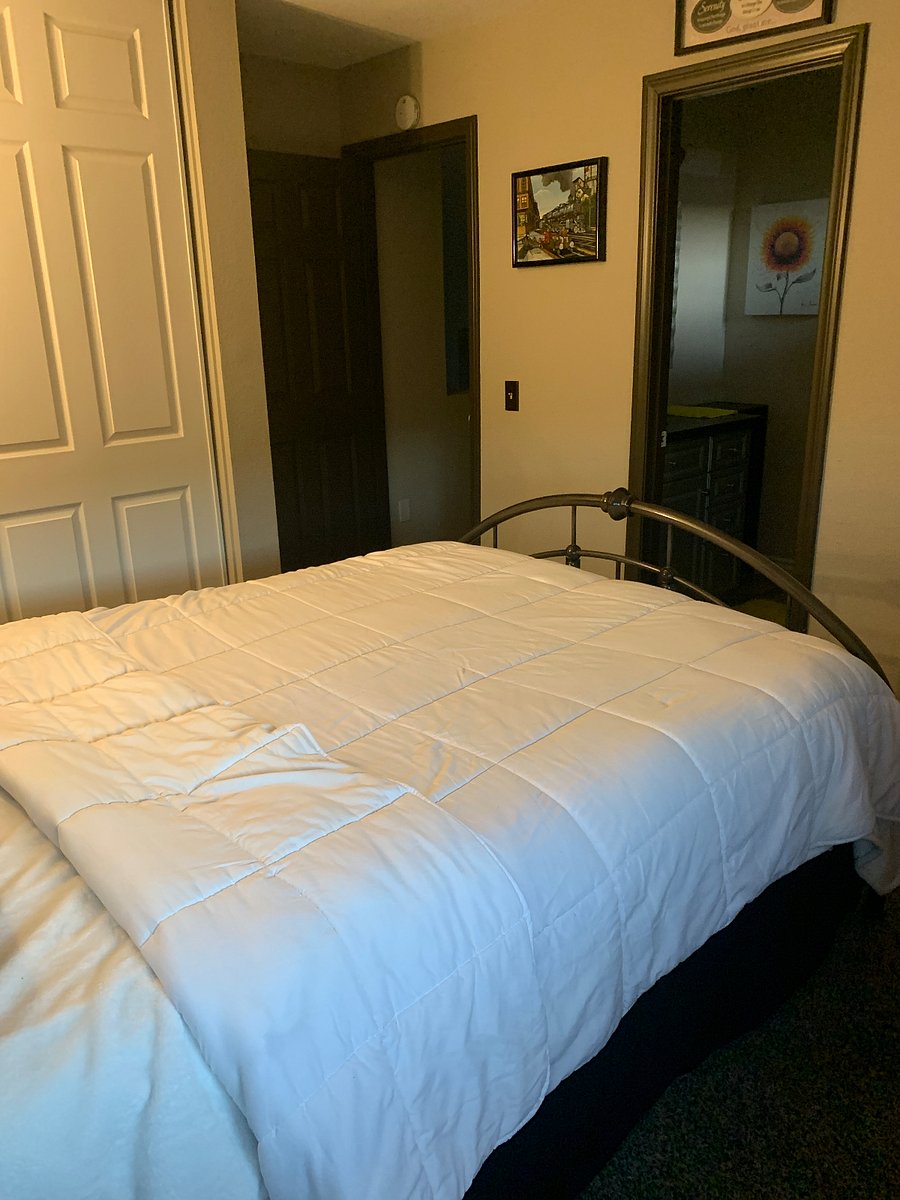 Furnished Finder property 290266_1 photo 6
