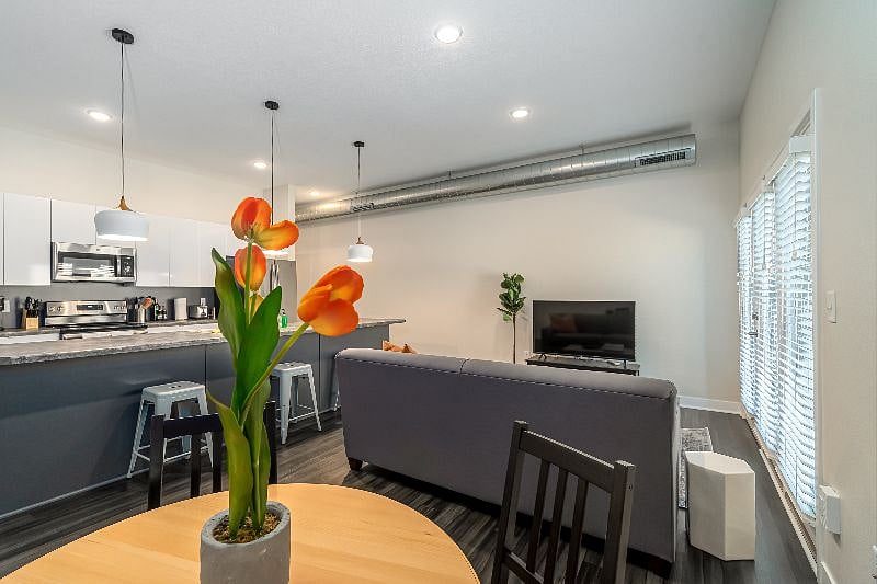 Furnished Finder property 290357_3 photo 13
