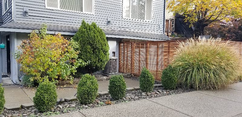 Fenced yard for pups
