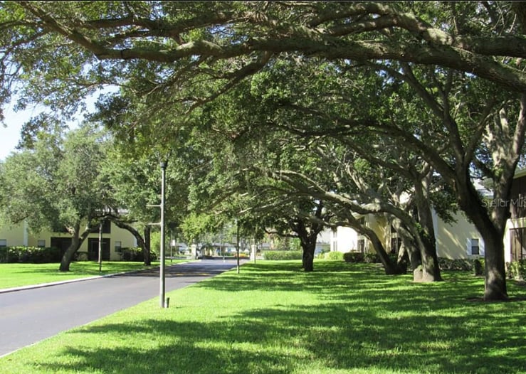 drive into complex