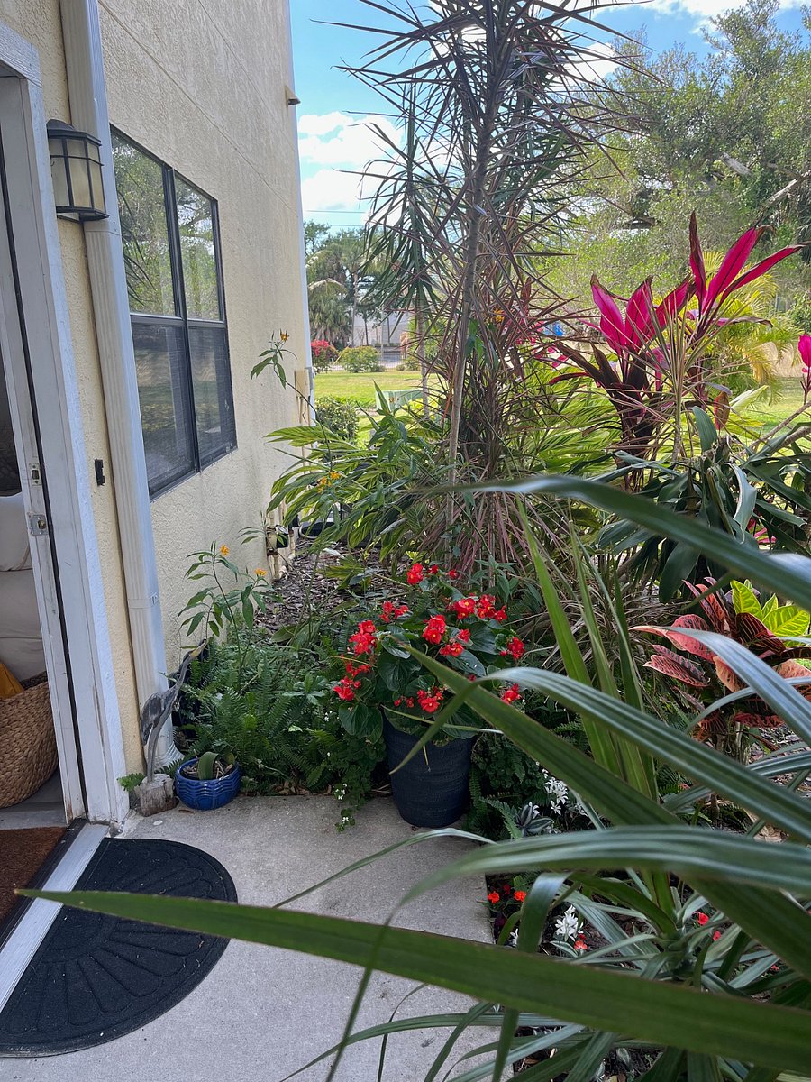 Furnished Finder property 290589_1 photo 32