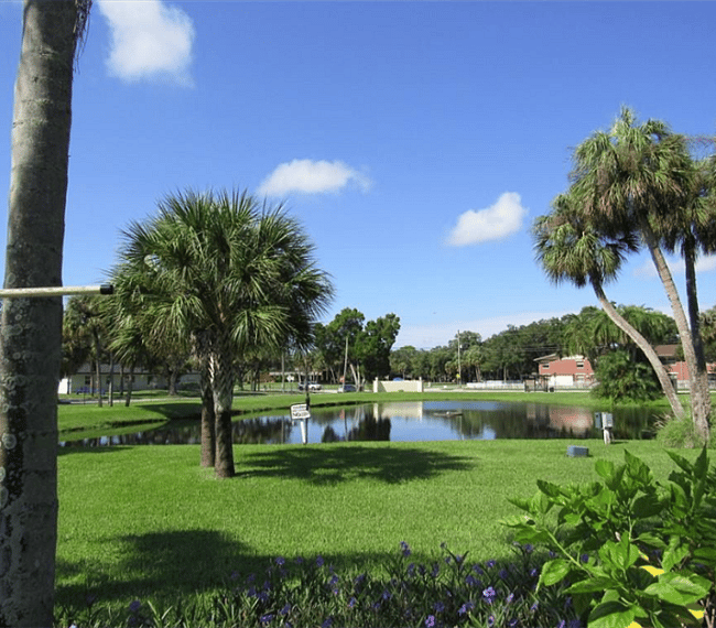 beautiful pond outlook