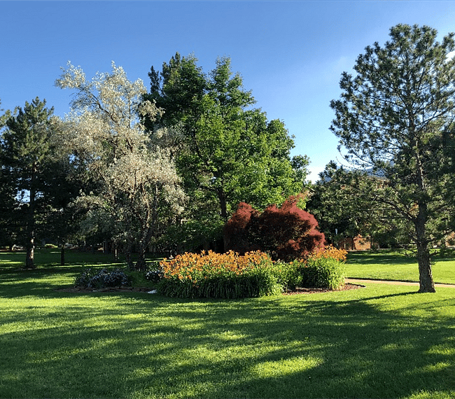 Beautiful grounds so lots of room to roam close to home.