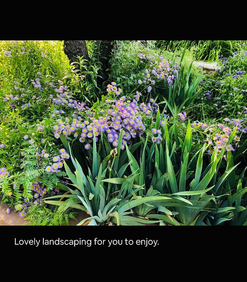Lovely landscaping for you to enjoy!