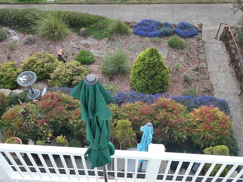 View of garden from deck.