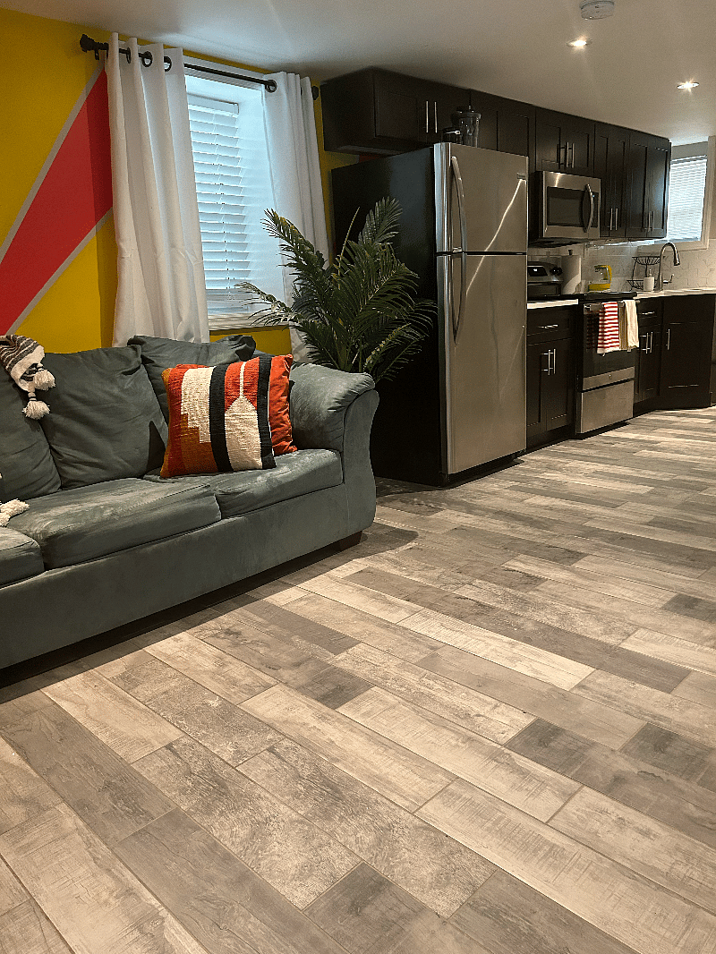 Living room w/ pullout coach