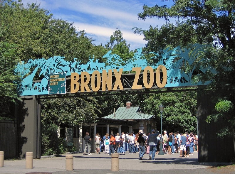 Enjoy a day at the world famous Bronx Zoo 2.4 Miles
