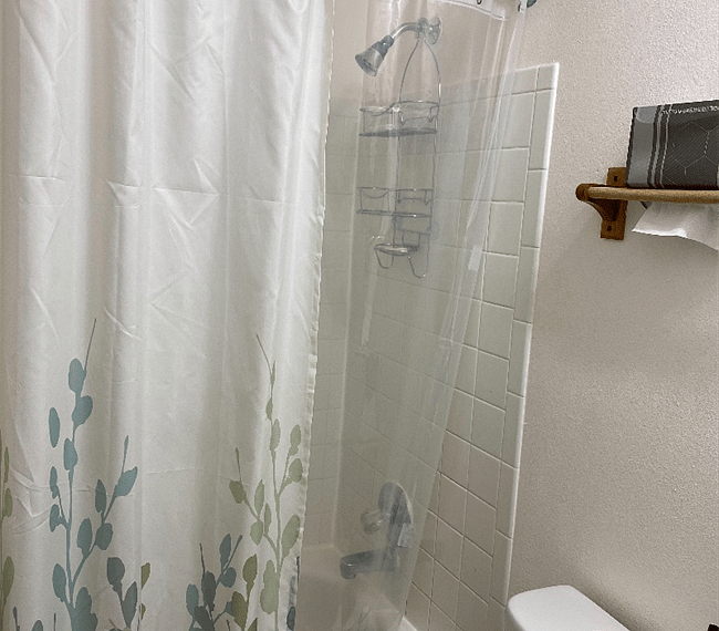 shower and tub in the private bath
