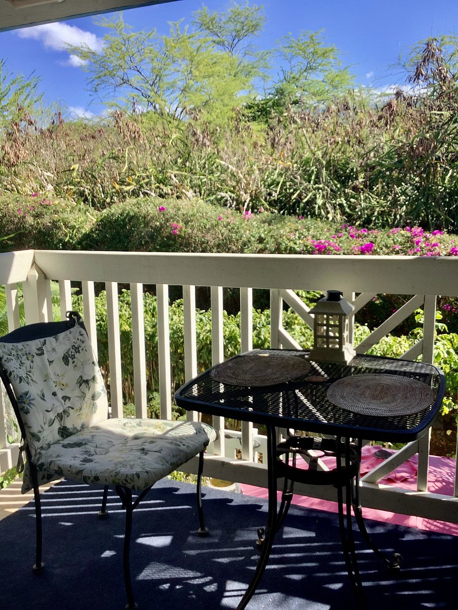 Furnished Finder property 290802_1 photo 12