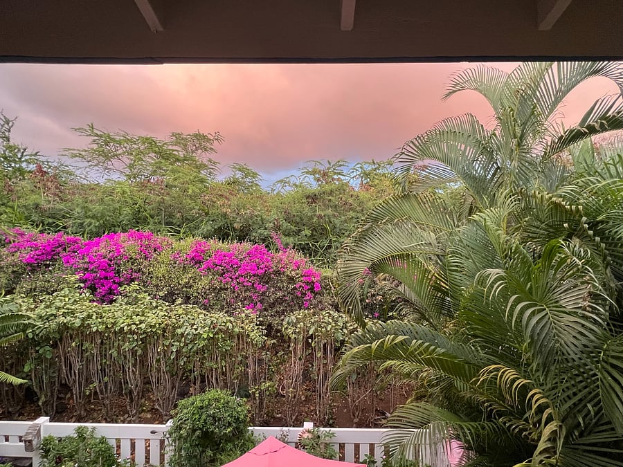 View from rear lanai