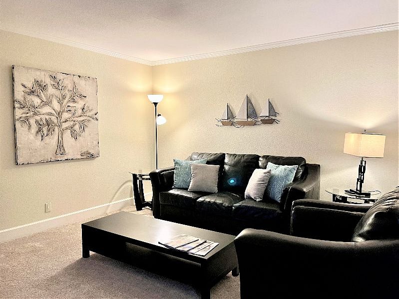 Furnished Finder property 290872_1 photo 8