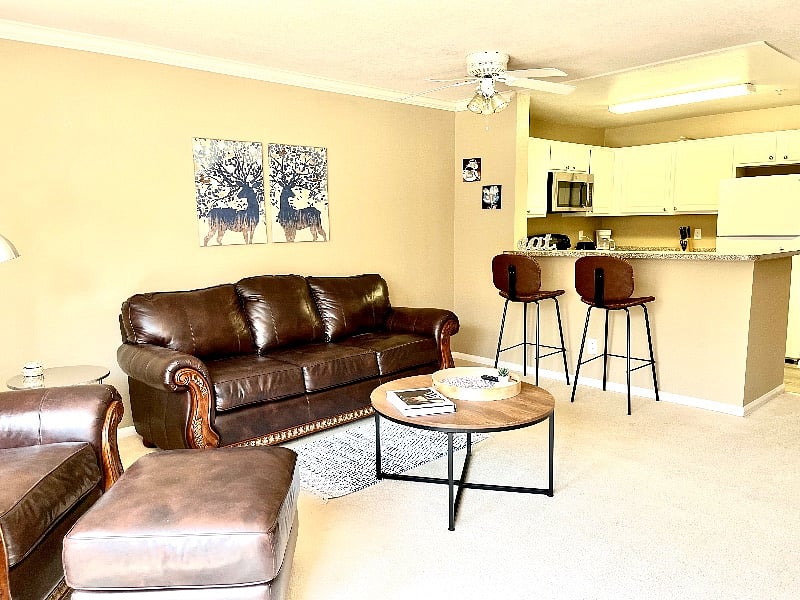 Furnished Finder property 290872_2 photo 7