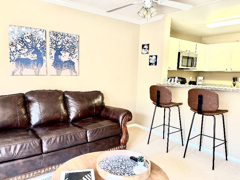 Furnished Finder property 290872_2 photo 9