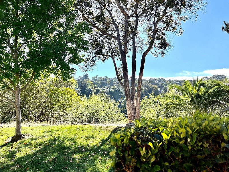 Furnished Finder property 290872_3 photo 27