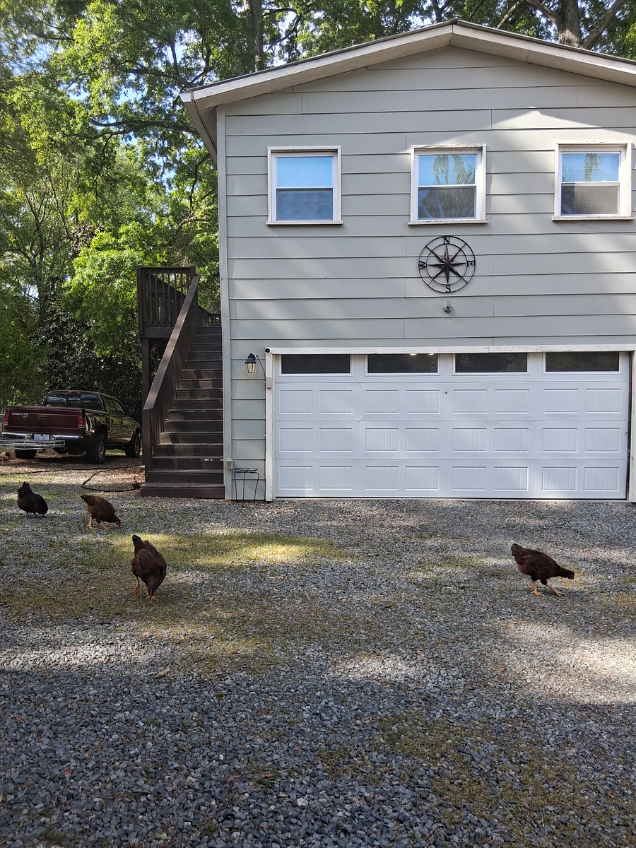 Furnished Finder property 290972_1 photo 22