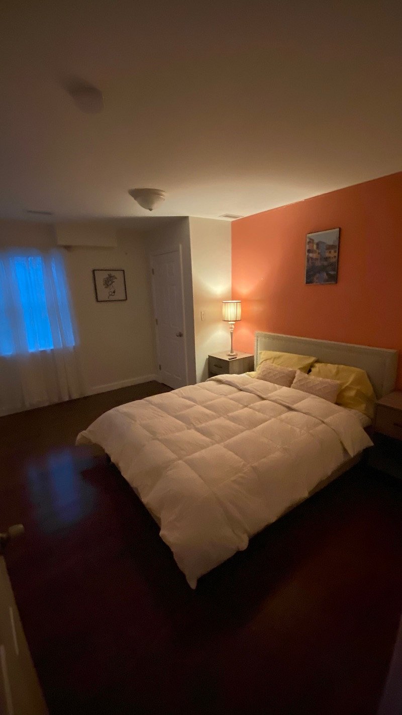 Furnished Finder property 291273_1 photo 58