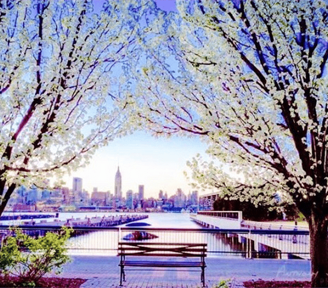 Beautiful NYC skyline views from Hoboken waterfront