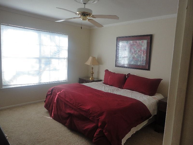 Furnished Finder property 291674_1 photo 6