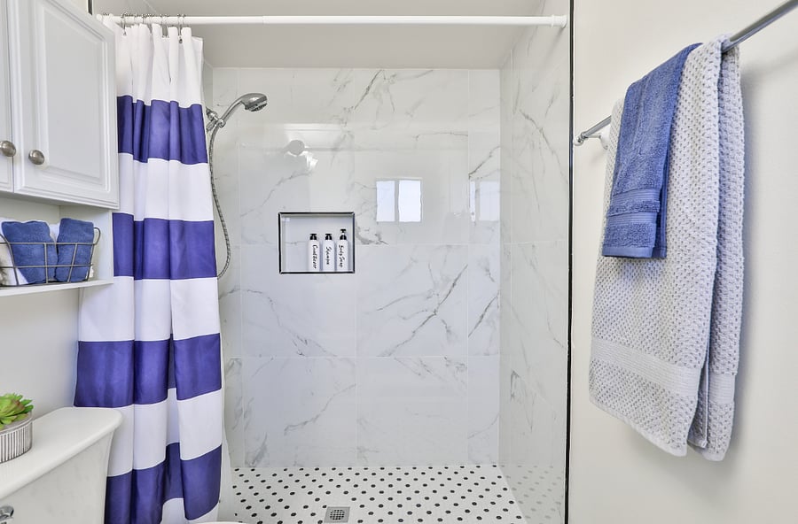 Master bathroom with standing shower
