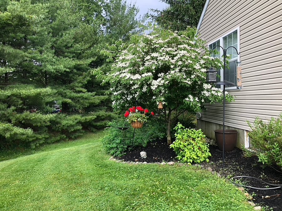 Beautiful outdoor space with yard on side of unit. Dog friendly area