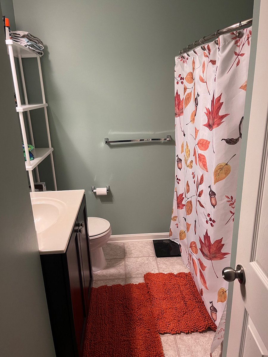 Furnished Finder property 291911_1 photo 9