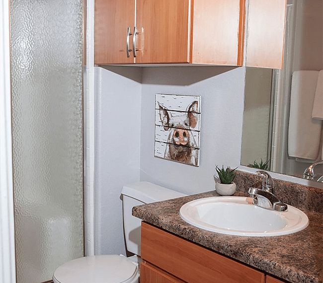 Furnished Finder property 292093_1 photo 13