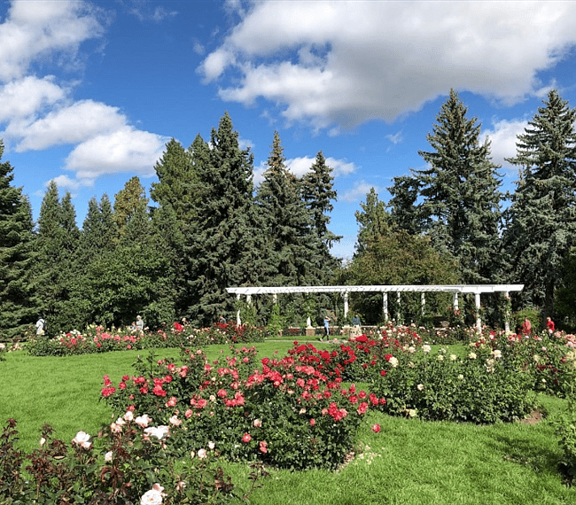Manito Park