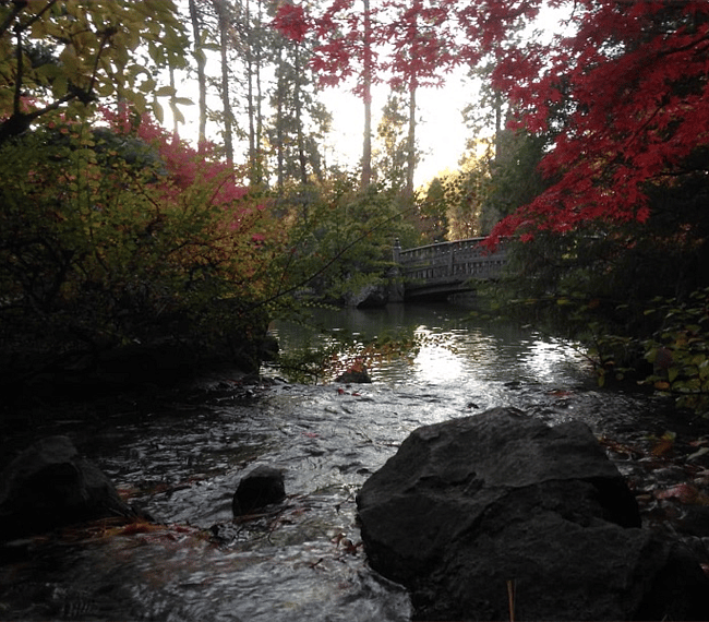 Manito Park Japanese Garden (0.5 miles away)