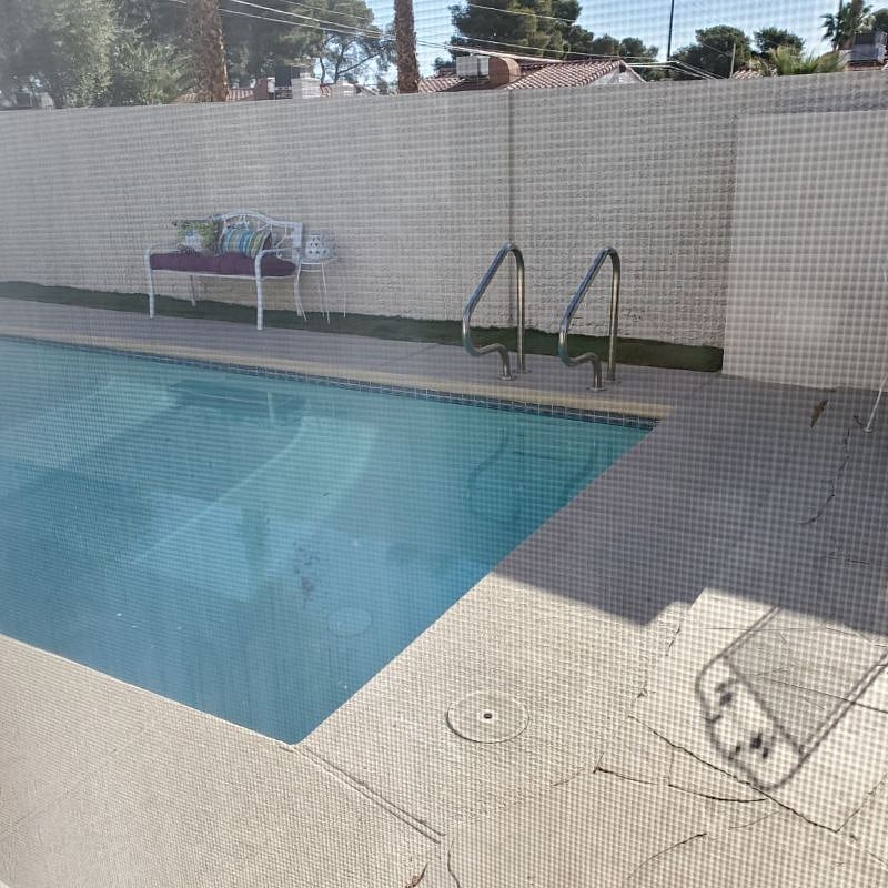 Sparkling inground swimming pool 