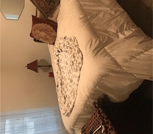 Furnished Finder property 292567_1 photo 5