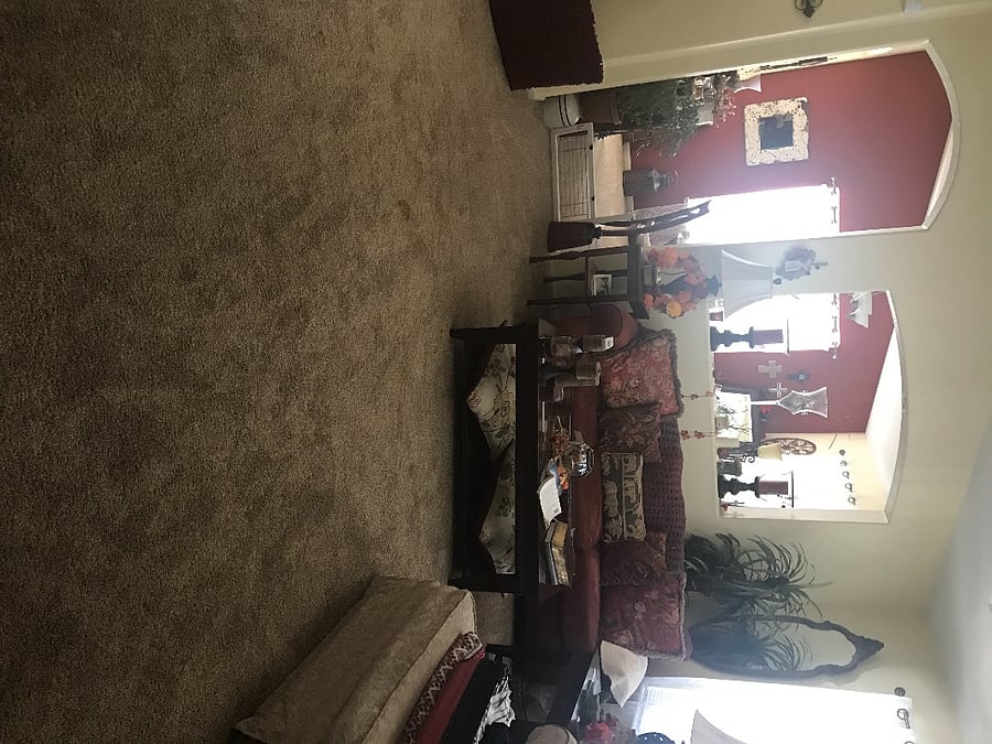 Furnished Finder property 292567_1 photo 20