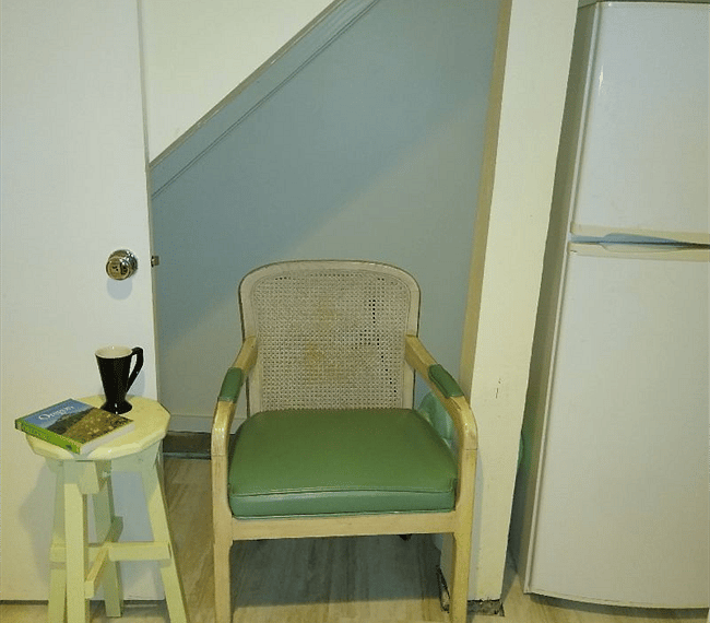 Fridge and storage below the stairs
