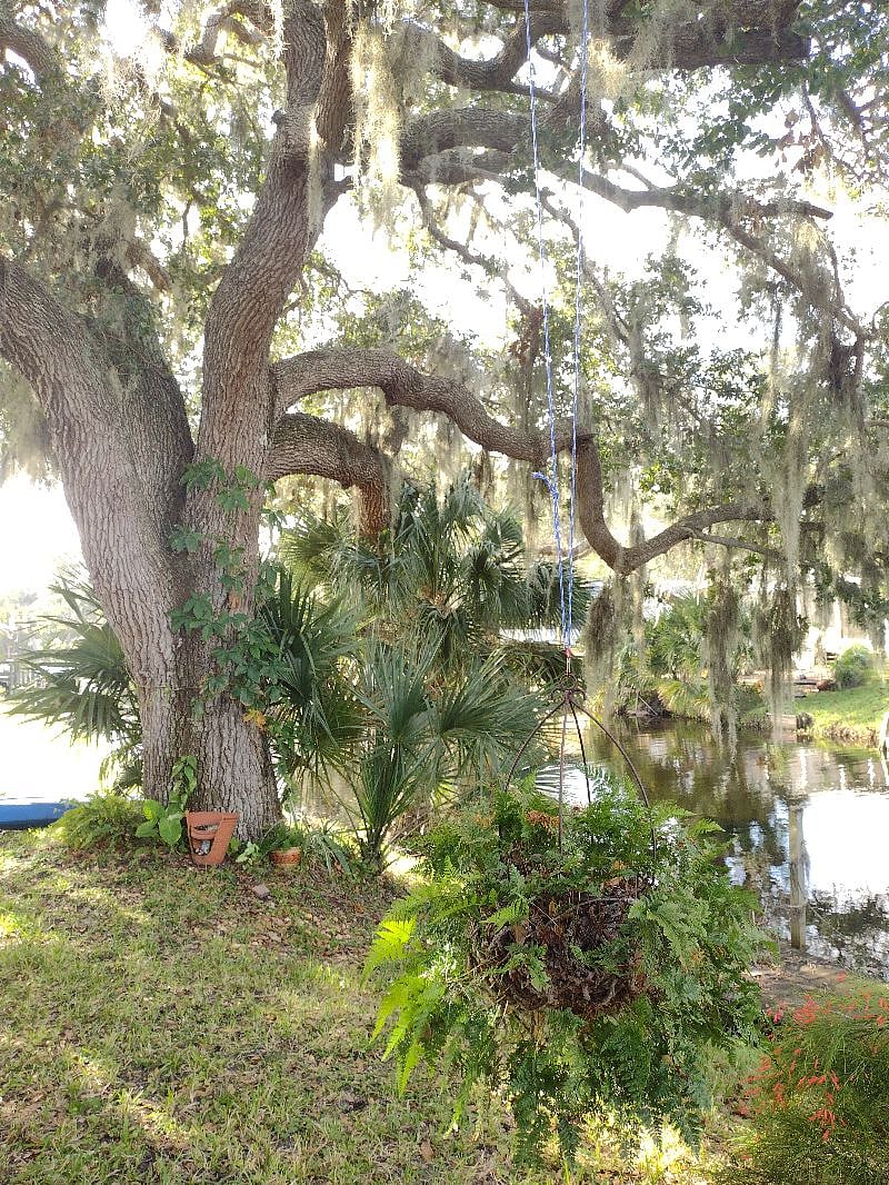 Furnished Finder property 292982_1 photo 23