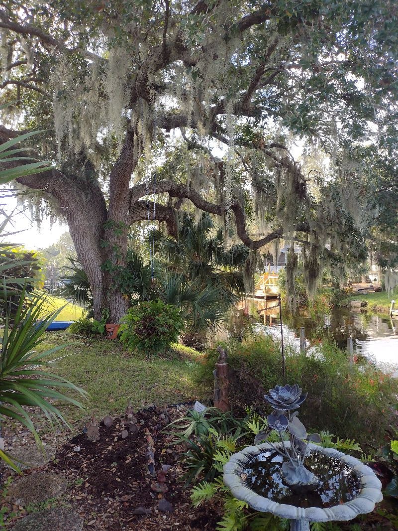 Furnished Finder property 292982_1 photo 25